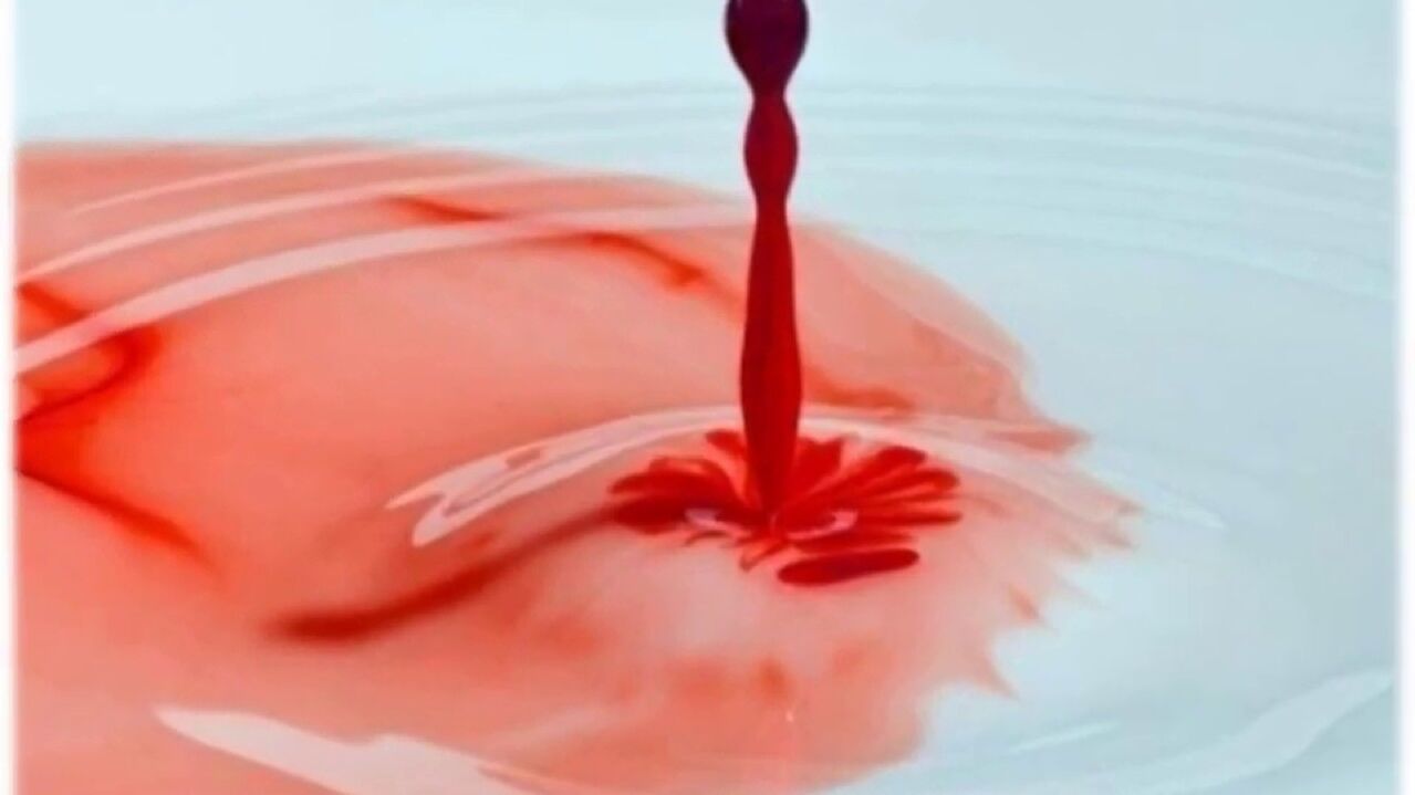 Bloody discharge from the penis