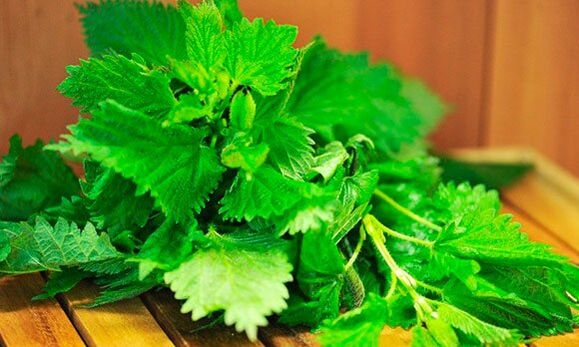 Nettles to increase potency