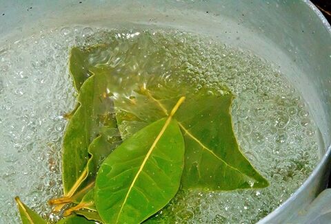 For a soothing bath in laurel leaf, for potency problems