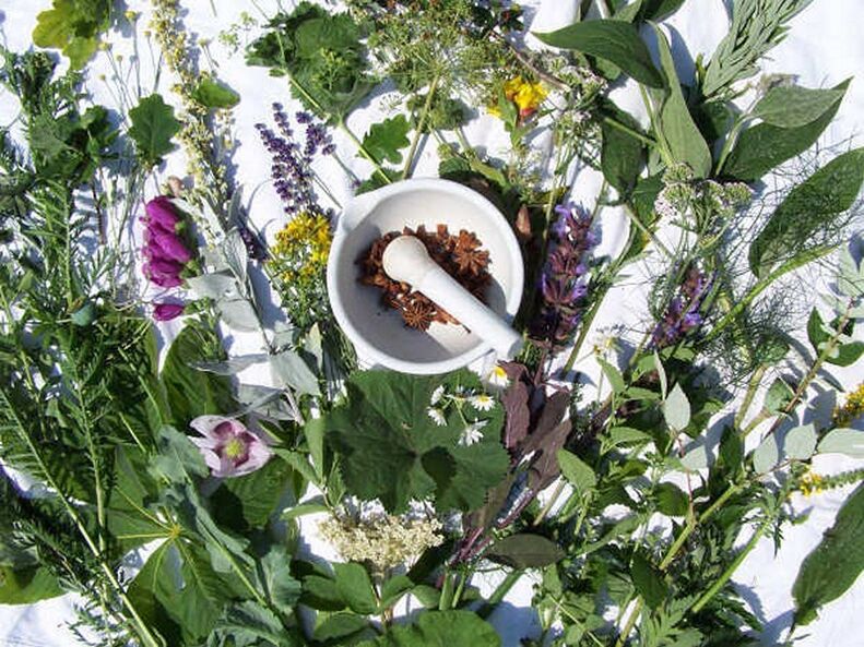 Potency treatment with herbs